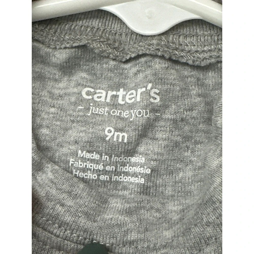 Carter's Baby 2 Piece Outfit Set 9M Overalls Animals Alligator Koala